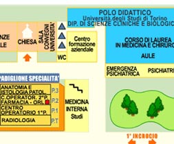 mappa_oncologia_02.jpg